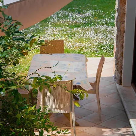 Terra Della Luna * Nicola